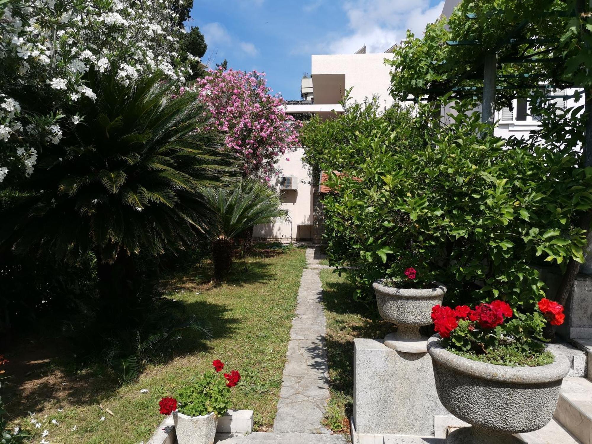 Apartments Maris Garden Petrovac Eksteriør bilde